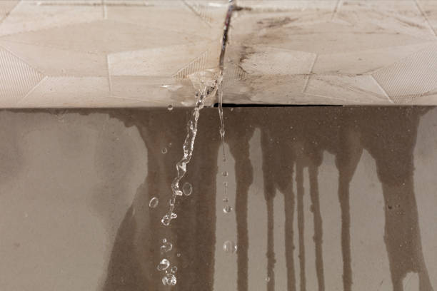Professional Burst Pipe Cleanup technician working in Minden, NV